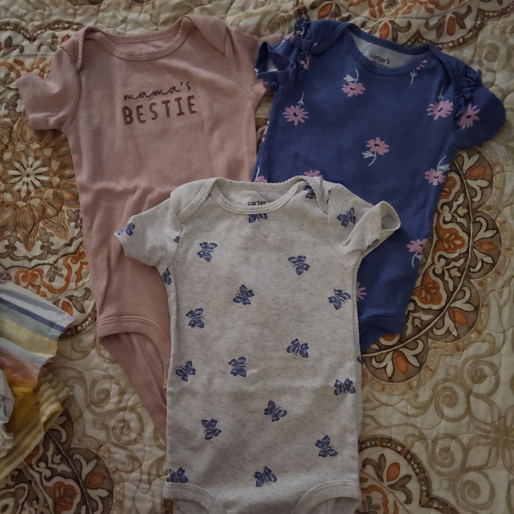 Carter's Pink, Blue & Light Gray Floral and Butterfly One-Piece Bodysuit Set